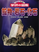 ニューワイド学研の図鑑『鉱物・岩石・化石』
