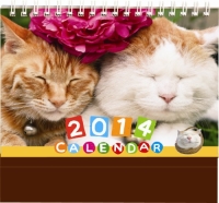 ２０１４年版学研カレンダー『かご猫シロと茶トラ』
