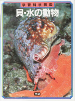 学習科学図鑑『貝・水の動物』