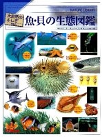 大自然のふしぎ『増補改訂　魚・貝の生態図鑑』