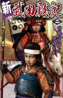 歴史群像新書『新　武田戦記　二　宿敵・家康を撃砕せよ』