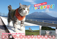 『野良猫ヒーロー　ニャン吉が行く！　かぎしっぽのアイドル猫「ニャン吉」感動の写真集』