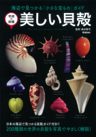 学研の図鑑『美しい貝殻』