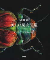 『［超微細］美しい昆虫図鑑』