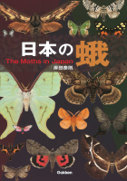 『日本の蛾』