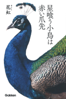 『星喰う小鳥は赤い爪先』