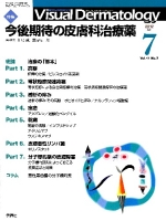 Ｖｉｓｕａｌ　Ｄｅｒｍａｔｏｌｏｇｙ『Ｖｉｓｕａｌ　Ｄ．　２０１２年７月号　Ｖｏｌ．１１　Ｎｏ．７』