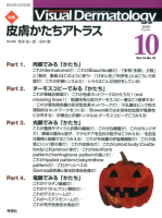 Ｖｉｓｕａｌ　Ｄｅｒｍａｔｏｌｏｇｙ『Ｖｉｓｕａｌ　Ｄｅｒｍａｔｏｌｏｇｙ　２０１５年１０月号Ｖｏｌ．１４Ｎｏ．１０』