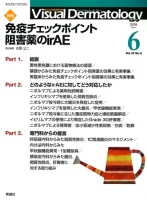 Ｖｉｓｕａｌ　Ｄｅｒｍａｔｏｌｏｇｙ『Ｖｉｓｕａｌ　Ｄｅｒｍａｔｏｌｏｇｙ　２０１６年６月号　Ｖｏｌ．１５　Ｎｏ．６』