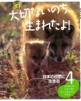 大切ないのち、生まれたよ！『４　日本の自然に生きる　キタキツネ・ニホンザル・ヤマネなど』
