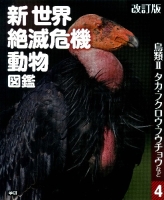 改訂版　新世界絶滅危機動物図鑑『４鳥類Ⅱ　タカ・フクロウ・フウチョウなど』