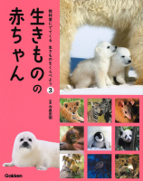 教科書にでてくる　生きものをくらべよう『３　生きものの　赤ちゃん』