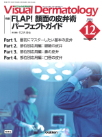 Ｖｉｓｕａｌ　Ｄｅｒｍａｔｏｌｏｇｙ『Ｖｉｓｕａｌ　Ｄ．　２０２４年１２月号　Ｖｏｌ．２３　Ｎｏ．１２』