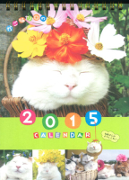 卓上版　学研カレンダー２０１５『かご猫シロと季節の花』