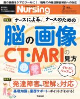 『月刊ナーシング２０１９年２月号Ｖｏｌ３９　Ｎｏ２』