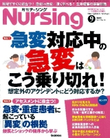 『月刊ナーシング２０１３年９月号Ｖｏｌ３３　Ｎｏ１０』