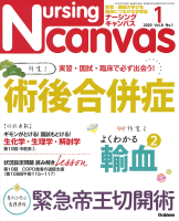 『Ｎｕｒｓｉｎｇ　Ｃａｎｖａｓ２０２０年１月号Ｖｏｌ．８Ｎｏ．１』