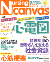 『Ｎｕｒｓｉｎｇ　Ｃａｎｖａｓ２０１９年１月号Ｖｏｌ．７Ｎｏ．１』