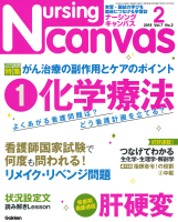 『Ｎｕｒｓｉｎｇ　Ｃａｎｖａｓ２０１９年２月号Ｖｏｌ．７Ｎｏ．２』
