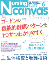 『Ｎｕｒｓｉｎｇ　Ｃａｎｖａｓ２０２０年６月号Ｖｏｌ．８Ｎｏ．６』