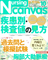 『Ｎｕｒｓｉｎｇ　Ｃａｎｖａｓ２０１７年１０月号Ｖｏｌ．５Ｎｏ．１０』