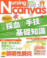 『Ｎｕｒｓｉｎｇ　Ｃａｎｖａｓ２０１５年１１月号Ｖｏｌ．３Ｎｏ．１１』