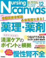 『Ｎｕｒｓｉｎｇ　Ｃａｎｖａｓ２０１８年１２月号ｖｏｌ．６Ｎｏ．１２』