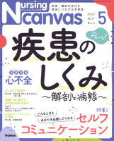 『Ｎｕｒｓｉｎｇ　Ｃａｎｖａｓ２０２３年５月号Ｖｏｌ．１１Ｎｏ．５』