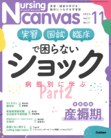 『Ｎｕｒｓｉｎｇ　Ｃａｎｖａｓ２０２３年１１月号Ｖｏｌ．１１Ｎｏ．１１』
