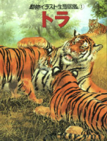 動物イラスト生態図鑑『トラ』