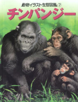 動物イラスト生態図鑑『チンパンジー』
