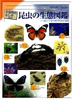 大自然のふしぎ『増補改訂　昆虫の生態図鑑』