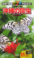 学研の図鑑ＬＩＶＥポケットＳｐｅｃｉａｌ『沖縄の昆虫』
