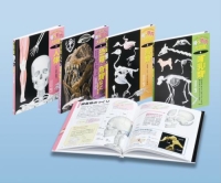 骨と筋肉大図鑑『骨と筋肉大図鑑　全４巻　「体」と「運動」を調べよう』