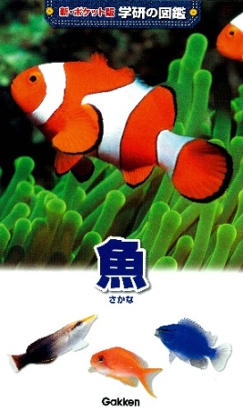 新ポケット版学研の図鑑『魚』 ｜ 学研出版サイト