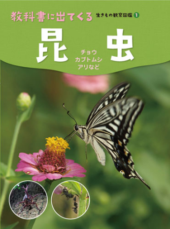 教科書に出てくる 生きもの観察図鑑『昆虫 チョウ・カブトムシ・アリ