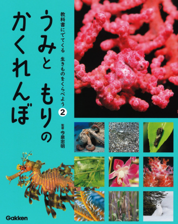 教科書にでてくる 生きものをくらべよう『２ うみと もりの かくれんぼ