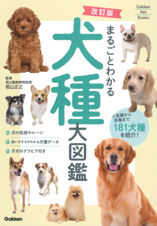 2024新入荷 新犬種大図鑑 値下げ可能 その他 - jaimemachadomoraes.com.br