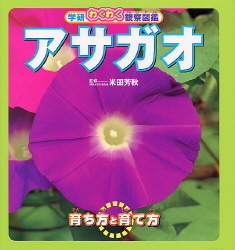 学研わくわく観察図鑑 アサガオ 学研出版サイト