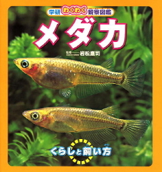 学研わくわく観察図鑑 メダカ 学研出版サイト