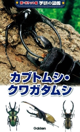 ᾰῘS学研の図鑑 カブトムシ・クワガタムシHὠῤ 4052032136.jpg