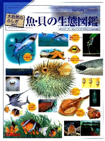 大自然のふしぎ 増補改訂 魚 貝の生態図鑑 学研出版サイト