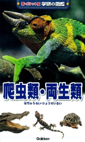 新ポケット版学研の図鑑 爬虫類 両生類 学研出版サイト