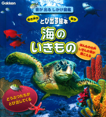 ✤絵本まとめ　25冊　乗り物えほん　しかけ絵本·ずかん·音のでる絵本 ✤絵本まとめ 25冊 乗り物えほん しかけ絵本·ずかん·音のでる