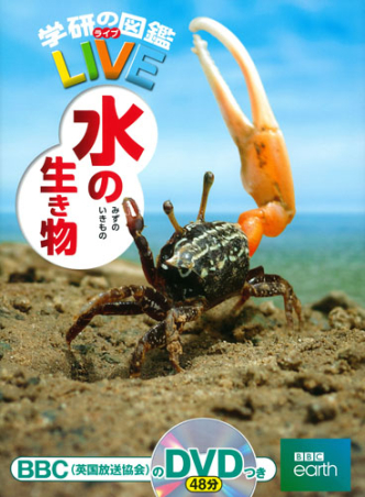 学研の図鑑 LIVE BBC earth DVDのみ　知育教材　美品 学研の図鑑 LIVE BBC earth DVDのみ 知育教材 美品 - メルカリ