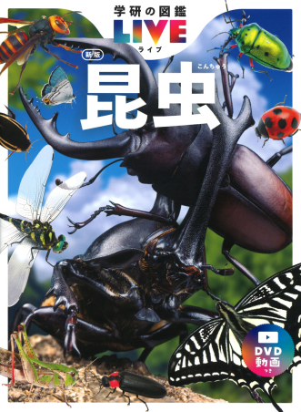 Amazon.co.jp: 学研の図鑑LIVE新版特典付きギフトボックス3冊