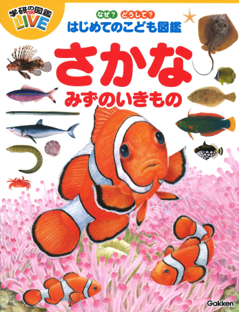 なぜ どうして はじめてのこども図鑑 さかな みずのいきもの 学研出版サイト