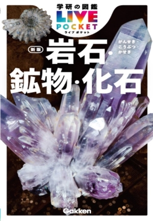 小学館の図鑑NEO 岩石・鉱物・化石　　　　野菜と果物　鳥　新版 新版］岩石・鉱物・化石 | 小学館の図鑑NEOシリーズ | 小学館