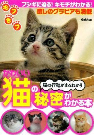 かわいい猫の秘密がわかる本 フシギに迫る キモチがわかる 癒しのグラビアも満載 学研出版サイト