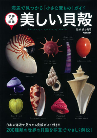 学研の図鑑『美しい貝殻』 ｜ 学研出版サイト